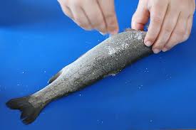 Peștele se bagă la cuptor. Fuziune Oricum Elimina Pastrav La Gratar In Folie Leading Talents Com