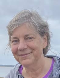 Anita Jo Heins Obituary 2022