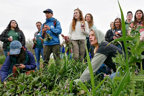 Urban Roots gives Austin youth hands-on experience while growing fresh food  for the city – The Daily Texan