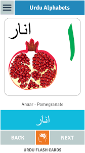 The urdu flashcards contains a vocabulary trainer about phrases words and grammar. Urdu Flash Cards 1 0 Apk Download Android Education Apps