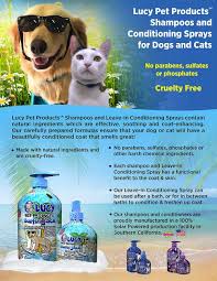 Lucy Pet Products Surfin Jack Moisturizing Coconut Dog Cat Shampoo 17 Oz Bottle Buy Online In Kuwait At Desertcart Com Kw Productid 86335099