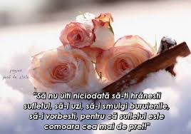 Check spelling or type a new query. Deschide Larg Ferestrele Sufletului Prietendevremerea