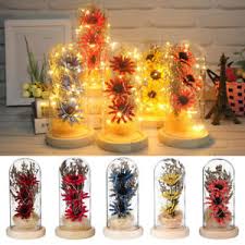 We did not find results for: Decoractive Dried Flowers Glass Dome Bell Jar W Led Light Mothers Day Xmas Gift Ebay