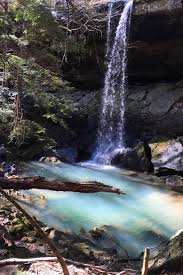 The bankhead national forest features several scenic campgrounds such as, houston and the newly renovated corinth and clear creek campgrounds. Hiking With Hailey Bankhead National Forest
