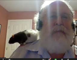 Pets of AFS (@petsofafs)