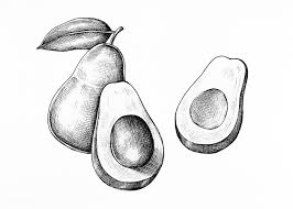Avocado is a great ingredient to make bread. Download Premium Illustration Of Hand Drawn Fresh Avocado In Black And How To Draw Hands Fresh Avocado Cherry Drawing