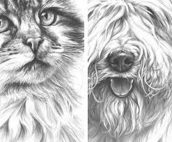 Drawing From Line To Life Drawing Fur How To Draw Fur Animal Drawings Drawing Techniques