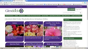 Webshop Existing Customer Login