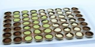 Des Chocolats Maison Pour Finir L Annee Gourmande Chocolat Maison Chocolat Chocolat Noel