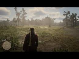 Red Dead Redemption 2 Milkweed Location Youtube