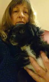 Mavis' adventure today to Fraisthorpe beach with our other rescue Nico