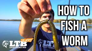 Tips and techniques that show the right way to fish plastic worms for big bass.related videos:how to texas rig a. Plastic Worm Www Macj Com Br
