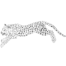 It will be a good idea to let them enjoy coloring the cute cheetah. 25 Best Cheetah Coloring Pages For Your Little Ones