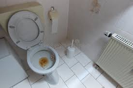 Check spelling or type a new query. 425 Vomit Toilet Photos Free Royalty Free Stock Photos From Dreamstime