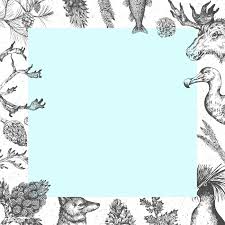 Download Premium Vector Of Wildlife Pattern Frame Social Ads Template Drawing Wallpaper Vector Frame