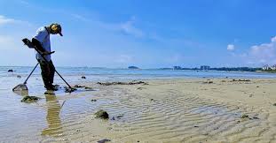 Check spelling or type a new query. 4 Best Beach Metal Detectors For Saltwater Jul 2021 Review