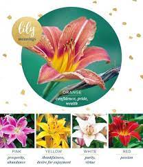 Pin On Flower Wallpaper