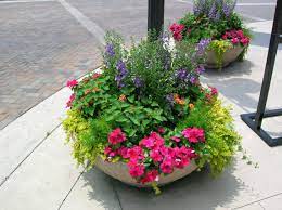 Low Bowl Summer Annual Planter Indoor Flowers Flower Pots Outdoor Indoor Flower Pots