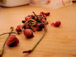 Growing Cherry Trees From Seed Cherry Tree From Seed Growing Cherry Trees How To Grow Cherries