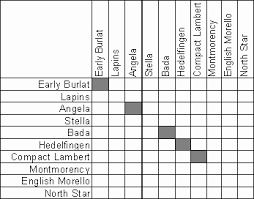 Judicious Bing Cherry Tree Pollination Chart Cherry Tree