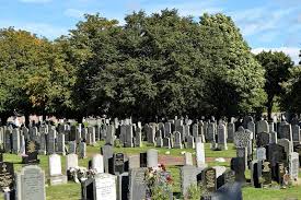 Humor quotes 39k philosophy quotes 25.5k god quotes 23k inspirational quotes quotes 22.5k truth quotes 21k wisdom quotes 20.5k poetry quotes 18.5k romance quotes 18k death quotes 17k happiness quotes 16.5k hope quotes 16k Inscriptions For Headstones Funeral Guide