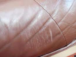 Scratching also helps keep your cat's claws from becoming overgrown. How To Repair Cat Scratches On Leather E Learning