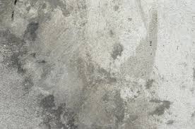 How To Remove Cat Urine From Concrete Cuteness Cat Urine Remover Cat Urine Smells Cat Urine