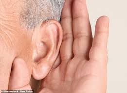 Most often tinnitus comes from hearing loss due to age or prolonged exposure to loud noises: At Least 1 500 People Complain That They Developed Ringing In The Ears After Their Vaccine Daily Mail Online