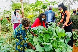 Visit our site and look results your of request. The One Million Kitchen Garden Initiative Horticultural News