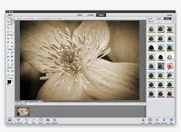 Maybe you would like to learn more about one of these? Instant Sepia Effect Photoshop Sepia 1583x1080 Png Download Pngkit