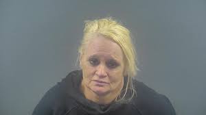 Bowling Green woman arrested after reportedly hitting patrol vehicle