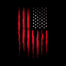 Pin On U S A The American Flag