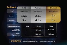 Contohnya seperti telepon rumah, dibayar setiap bulan dan ini termasuk layanan pascabayar. Apa Saja Kelebihan Menggunakan Kartu Pascabayar