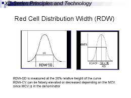 To screen for early vitamin b12 and folate deficiency before other signs are noted in the blood 7. A Guide To Red Blood Cell Indices Mary