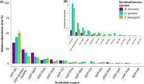 We did not find results for: Cell Surface Carbohydrates Of Symbiotic Dinoflagellates And Their Role In The Establishment Of Cnidarian Dinoflagellate Symbiosis The Isme Journal