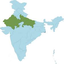 Image result for Hibiscus mastersianus