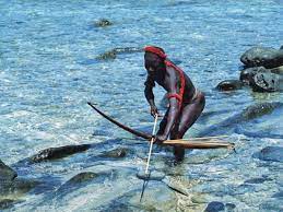 21, 2018, 9:11 pm utc 30 North Sentinel Island Facts That You May Not Know Country Faq