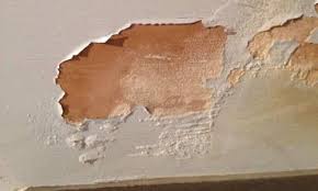 Maybe you would like to learn more about one of these? Internal Damp Proofing Guide Permagard