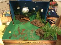 Red Fox Diorama Habitats Projects Diorama Kids Red Fox Habitat