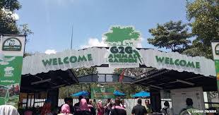 Berbagai tempat makan di daerah sentul ini dijamin bakal memanjakan lidah kamu yang hobi wisata kuliner. Tempat Tempat Menarik Di Maeps Serdang