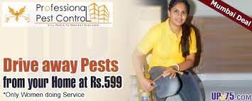 To provide quality herbal pest control in mumbai, thane, navi mumbai, kalyan and furnish superior customer service. Professional Pest Control Services Mumbai Deals Discounts Coupons 2021