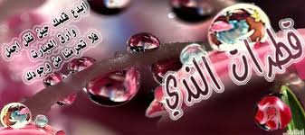 كالمتيم يتيه فى حبه صبابه Ù‚Ø·Ø±Ø§Øª Ø§Ù„Ù†Ø¯Ù‰ Home Facebook