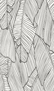 Black And White Leaf Peel And Stick Wallpaper Leaf Outline Abstract Wallpaper White And Black R4691 Walls Republic Us Leaf Outline Leaf Wallpaper Abstract Wallpaper