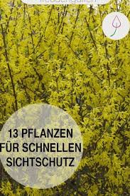 Pin Auf My Pins