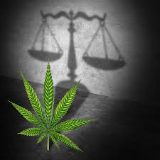 Cbn is a secondary cannabinoid, commonly found in small quantities in hemp strains. What Is The Uk Law On Cbd Products That Contain Controlled Substances Such As Thc And Cbn Cbdology