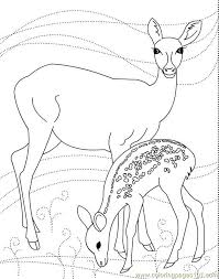 Deer N Son Deer Coloring Pages Free Coloring Pages Coloring Pages