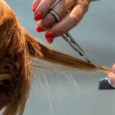 Nel produrre cravatte è la manifattura che conta, per fare la differenza deve … Continuo A Tagliare I Capelli Per I Clienti Abituali Ticinonline