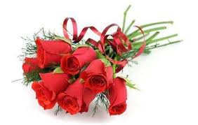 Check spelling or type a new query. Anonymous Flowers Anonymousfiower Twitter