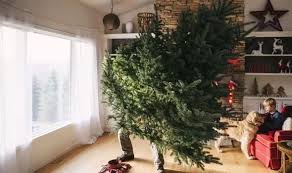 When do christmas decorations come down. Christmas Decorations Why You Must Take Your Christmas Tree Down Today Express Co Uk