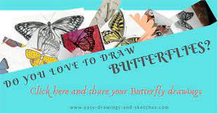 How to draw a butterfly for kids. Butterfly Pencil Drawings You Can Practice